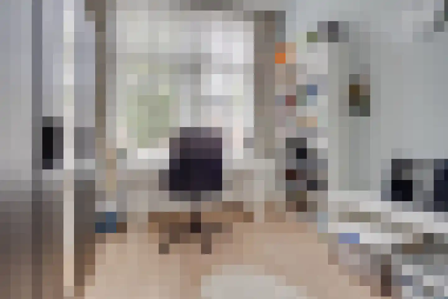 Jan Pieterszoon Coenstraat 63 Utrecht thumbnail 35