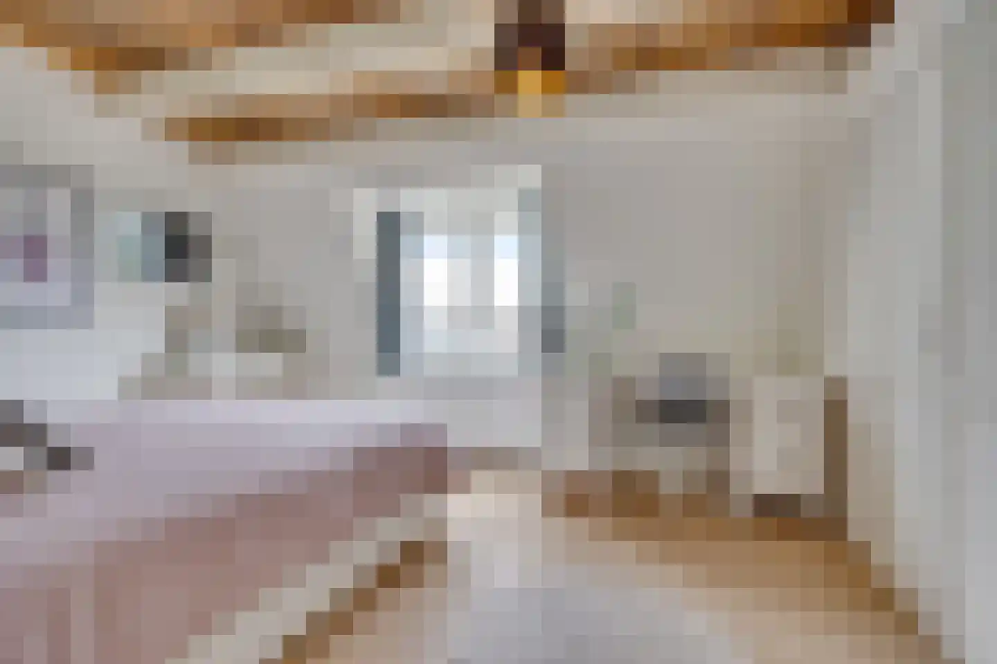 Jan Pieterszoon Coenstraat 63 Utrecht thumbnail 39
