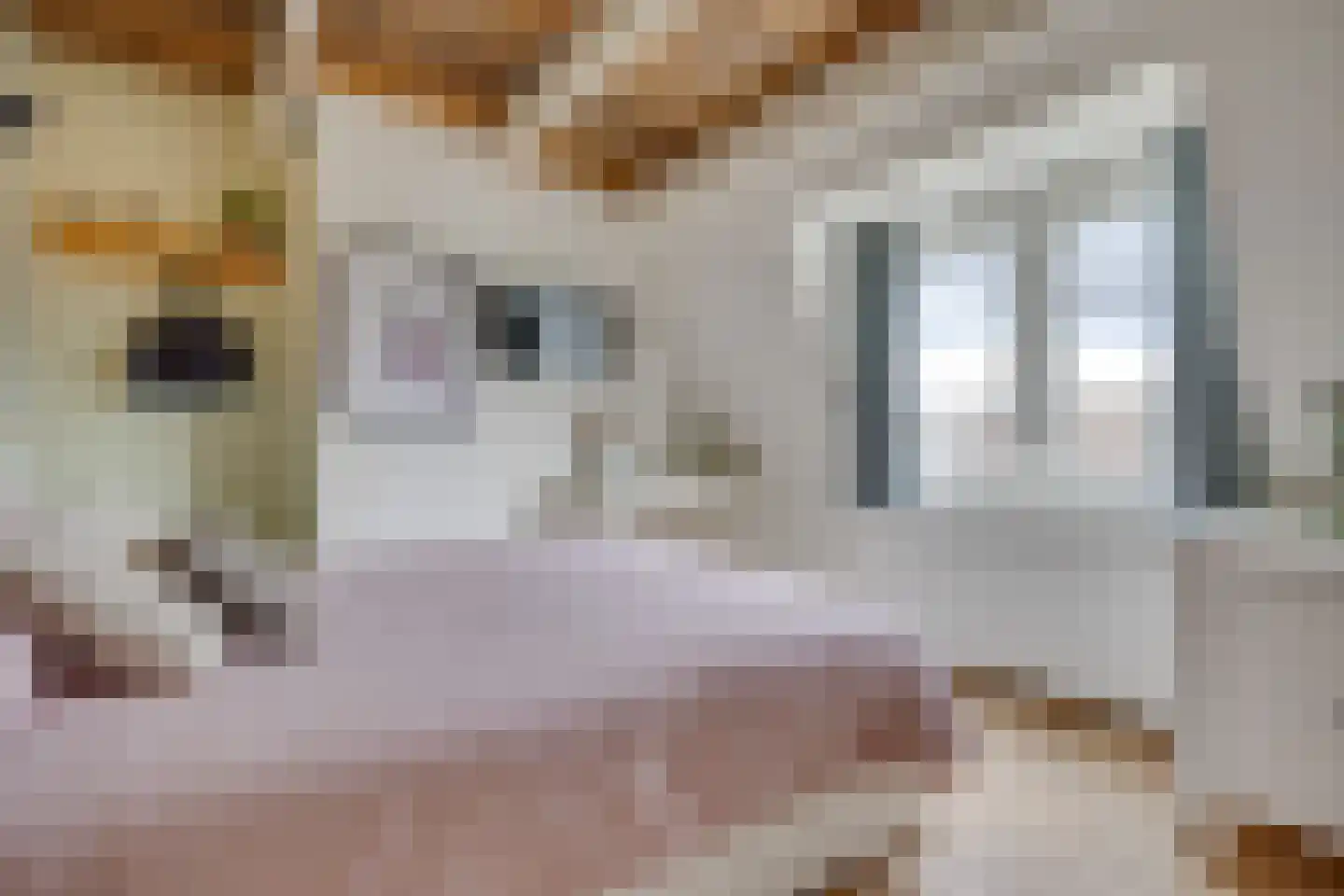 Jan Pieterszoon Coenstraat 63 Utrecht thumbnail 40