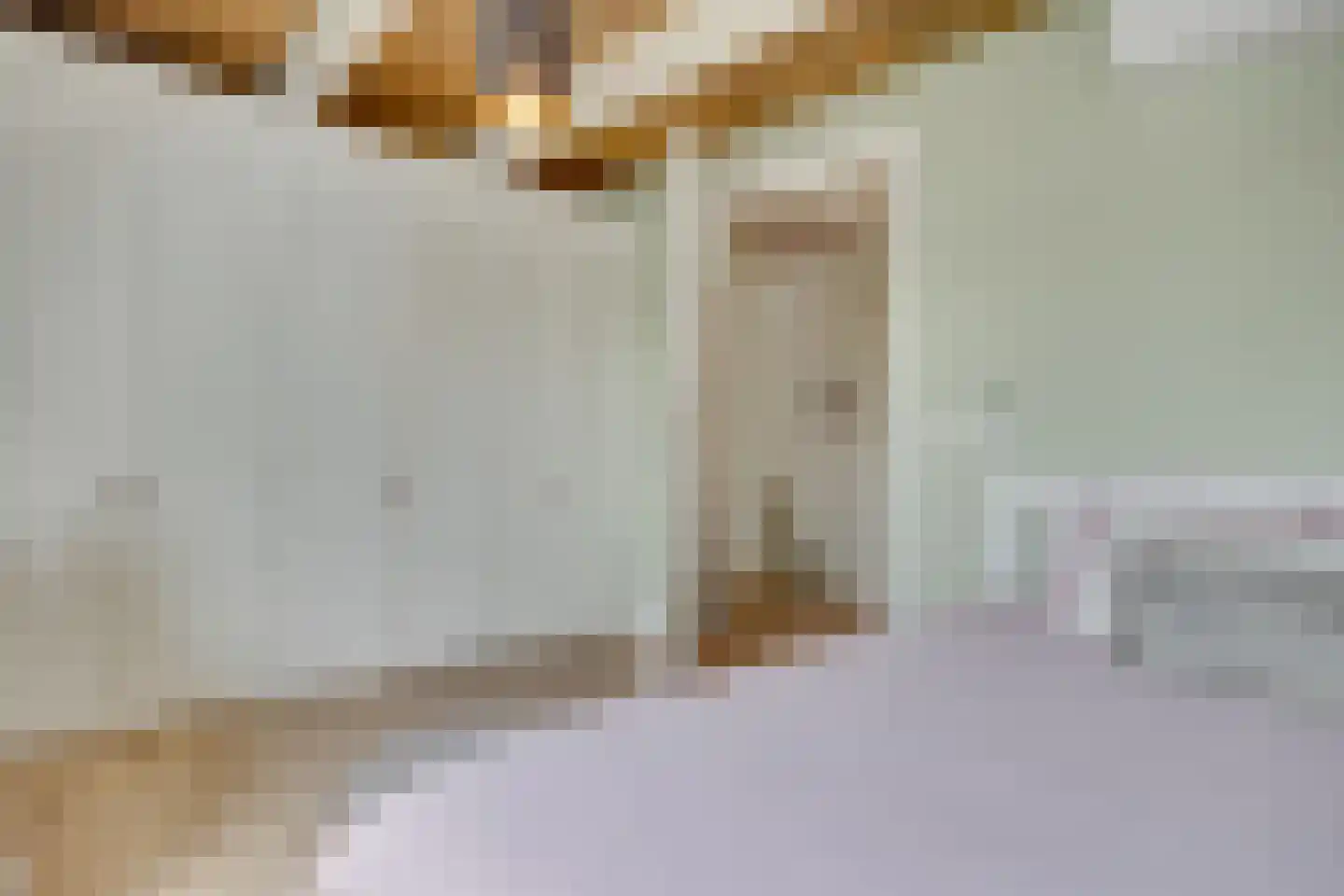 Jan Pieterszoon Coenstraat 63 Utrecht thumbnail 41
