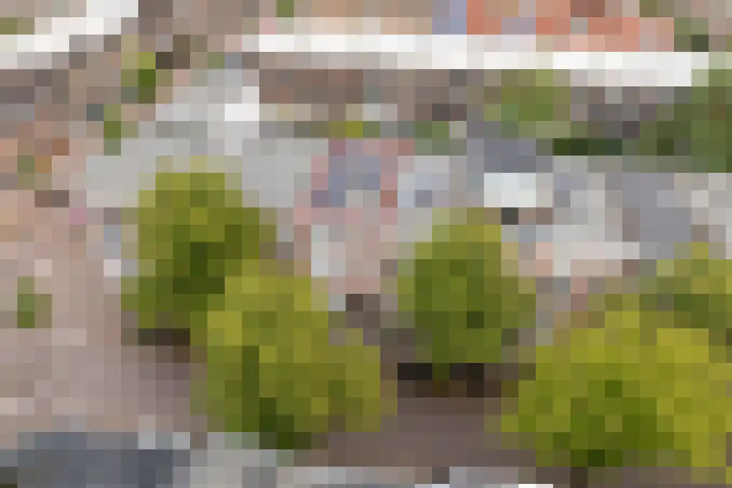 Jan Pieterszoon Coenstraat 63 Utrecht thumbnail 44