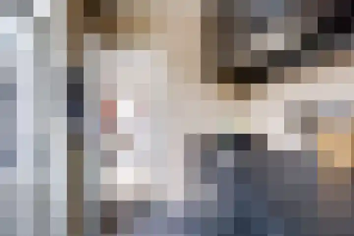 Jan Pieterszoon Coenstraat 64 Utrecht thumbnail 21