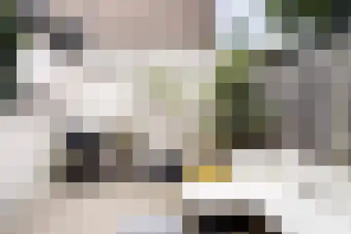 Jan Pieterszoon Coenstraat 64 Utrecht thumbnail 23