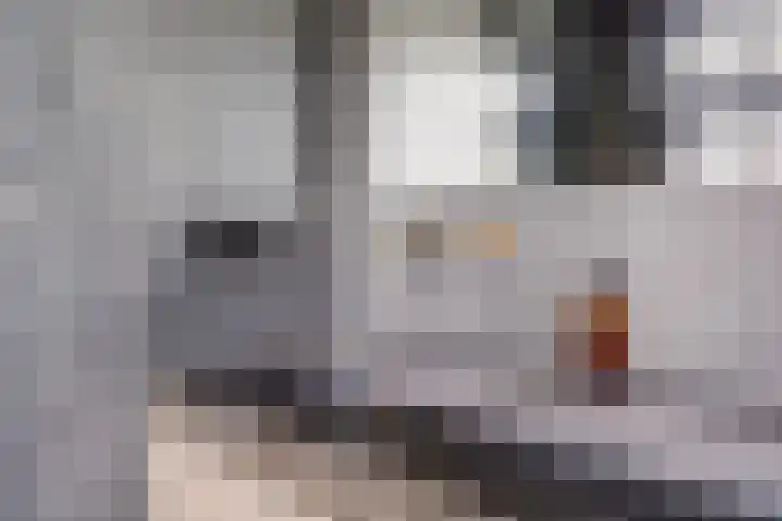 Jan Pieterszoon Coenstraat 64 Utrecht thumbnail 39