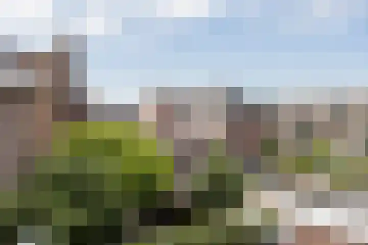 Jan Pieterszoon Coenstraat 64 Utrecht thumbnail 47