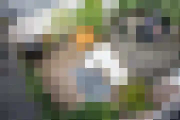 Jan Pieterszoon Coenstraat 64 Utrecht thumbnail 49