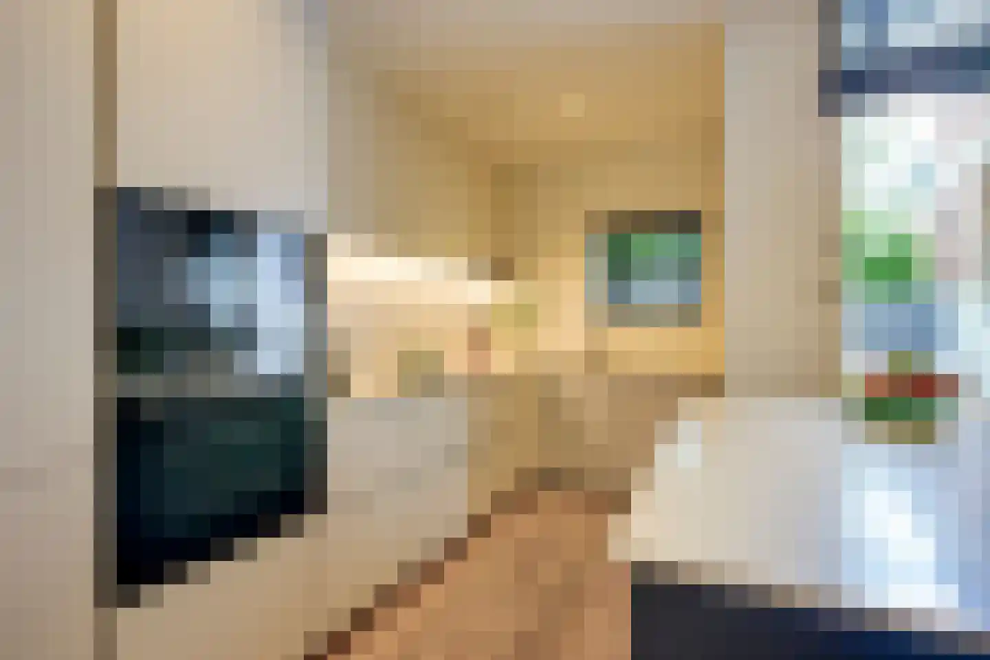 Jan Pieterszoon Coenstraat 68 Utrecht thumbnail 15