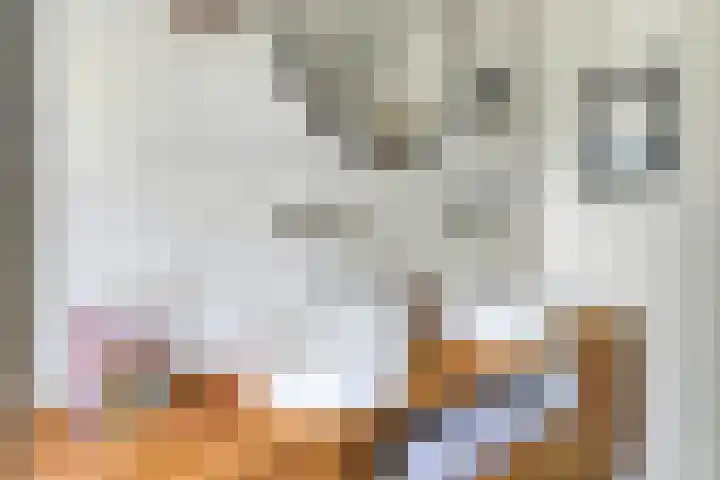 Jan Pieterszoon Coenstraat 77 Tilburg thumbnail 17