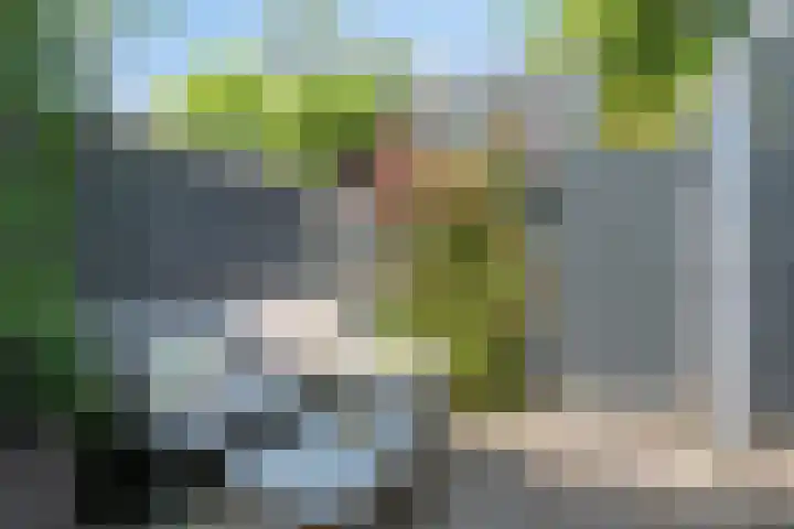 Jan Pieterszoon Coenstraat 77 Tilburg thumbnail 27