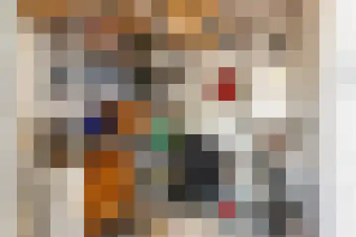Jan Pieterszoon Coenstraat 77 Tilburg thumbnail 28