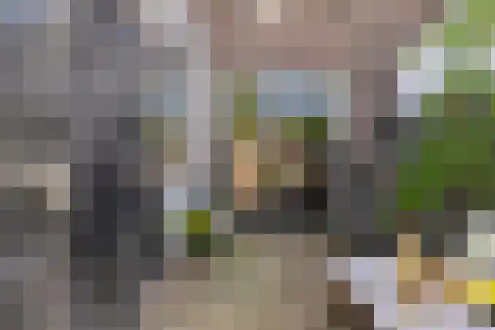 Jan Pieterszoon Coenstraat 77 Tilburg thumbnail 30