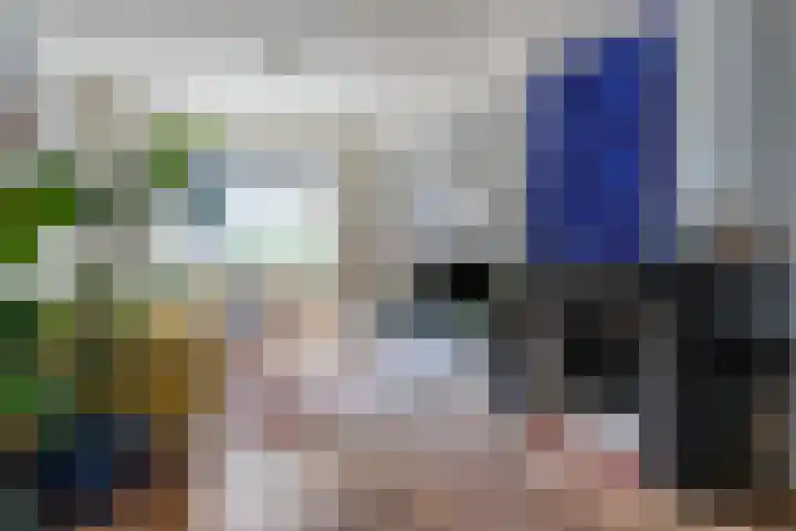 Jan Pieterszoon Coenstraat 77 Tilburg thumbnail 5