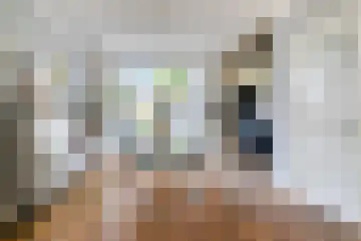 Jan Pieterszoon Coenstraat 77 Tilburg thumbnail 7