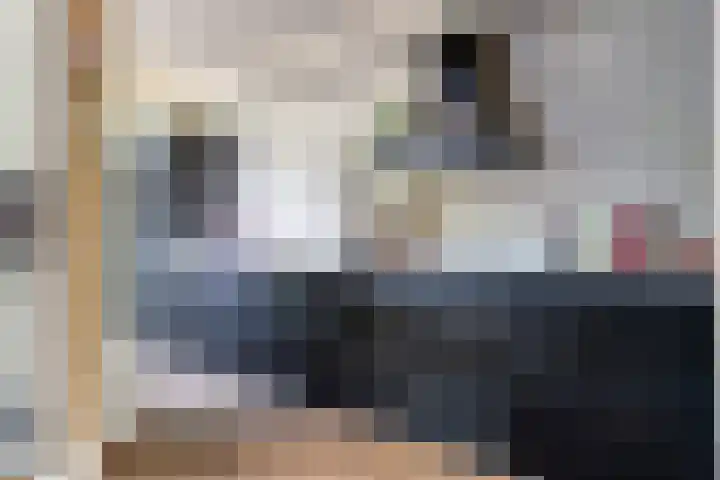 Jan Pieterszoon Coenstraat 77 Tilburg thumbnail 9