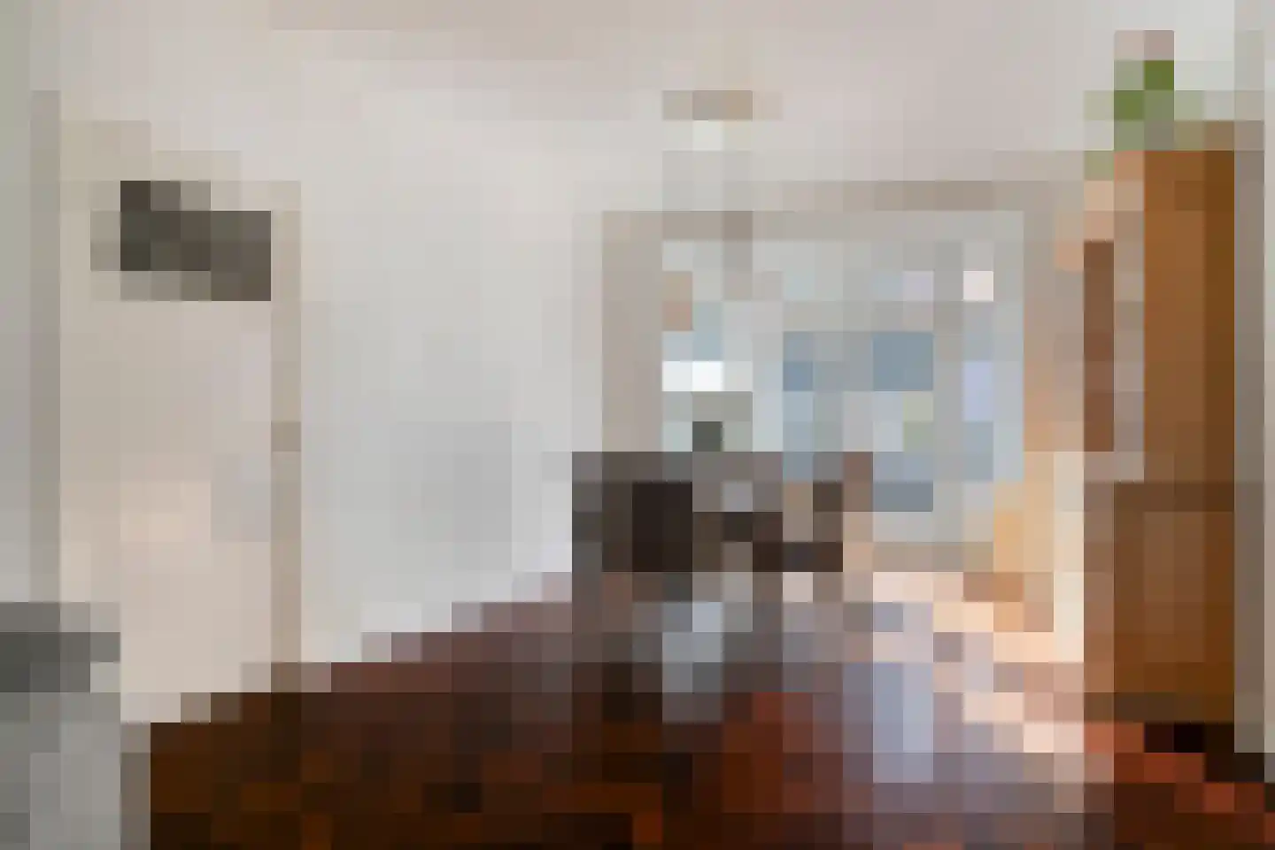 Jan Pieterszoon Coenstraat 8 Tilburg thumbnail 10