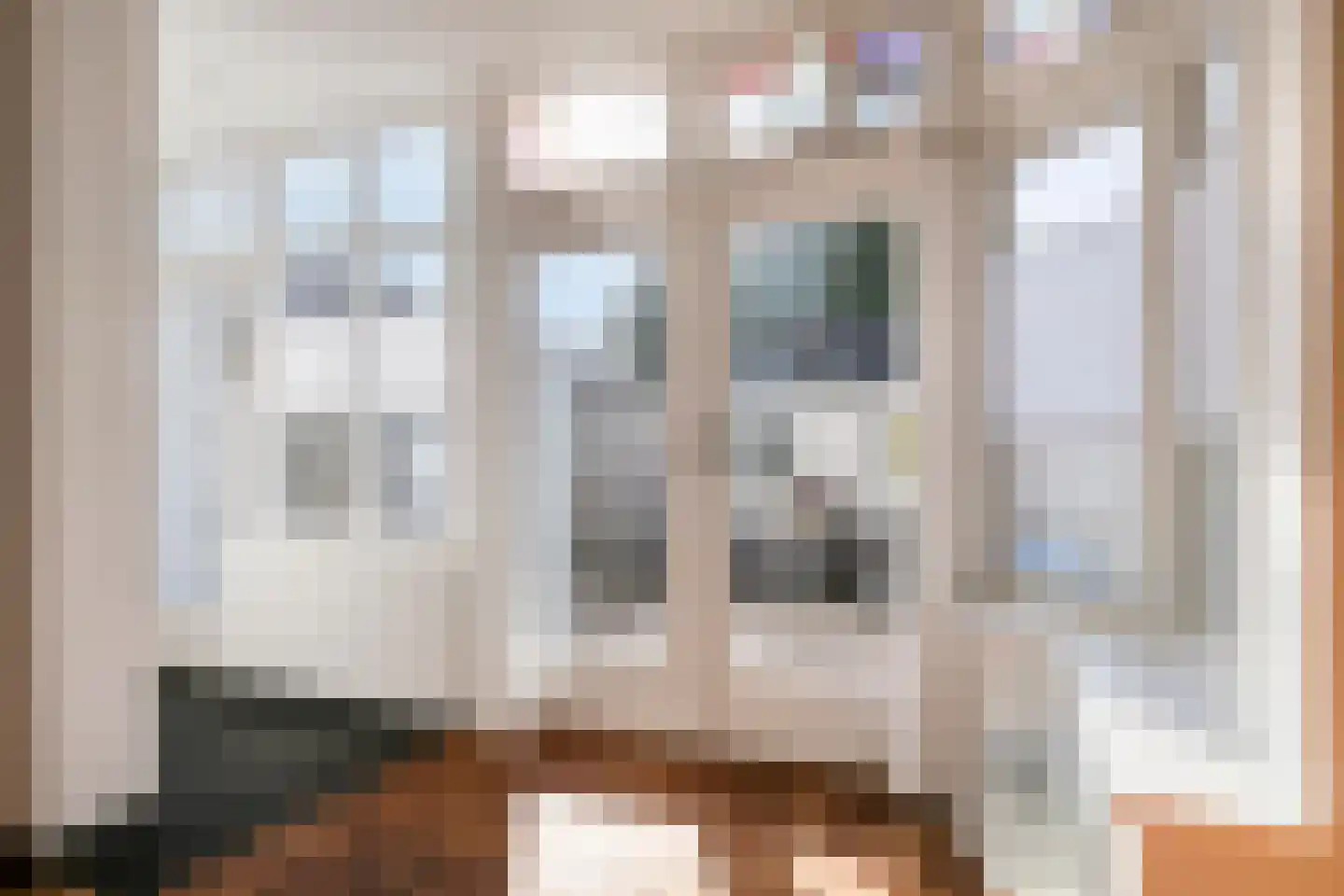 Jan Pieterszoon Coenstraat 8 Tilburg thumbnail 11