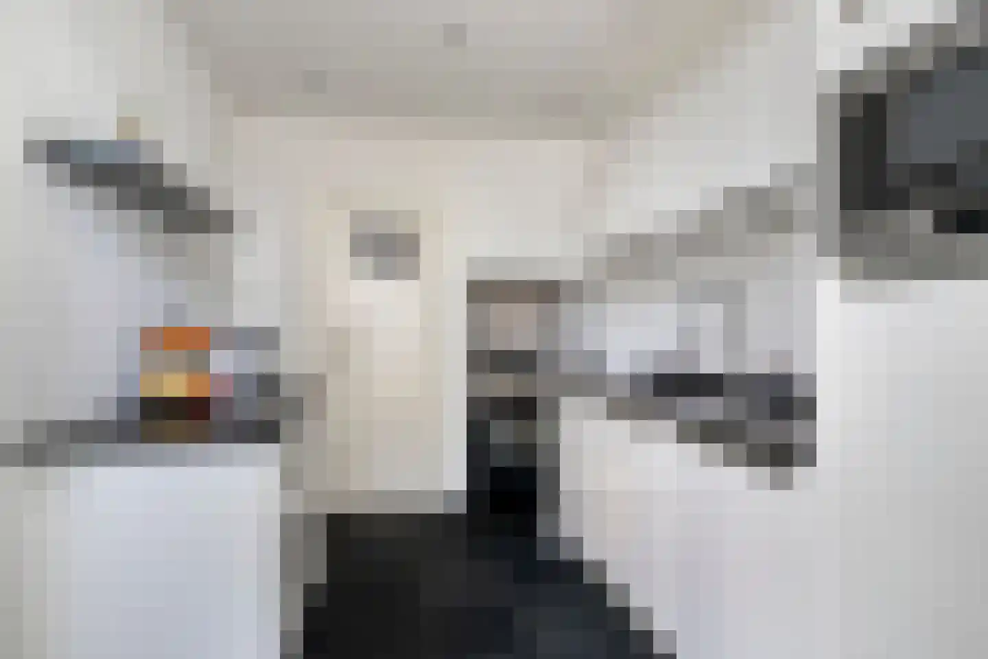 Jan Pieterszoon Coenstraat 8 Tilburg thumbnail 14