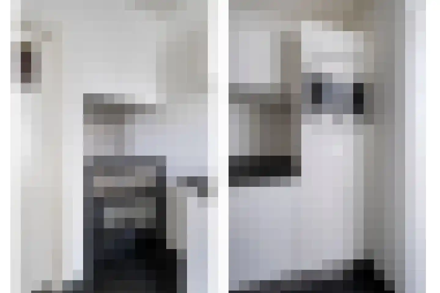 Jan Pieterszoon Coenstraat 8 Tilburg thumbnail 15
