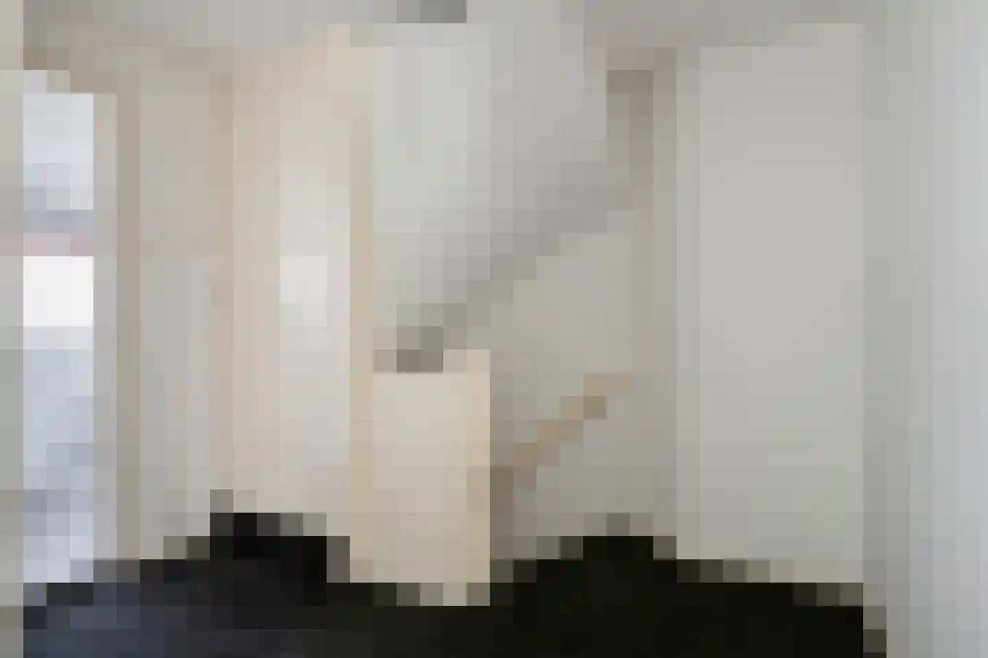 Jan Pieterszoon Coenstraat 8 Tilburg thumbnail 17