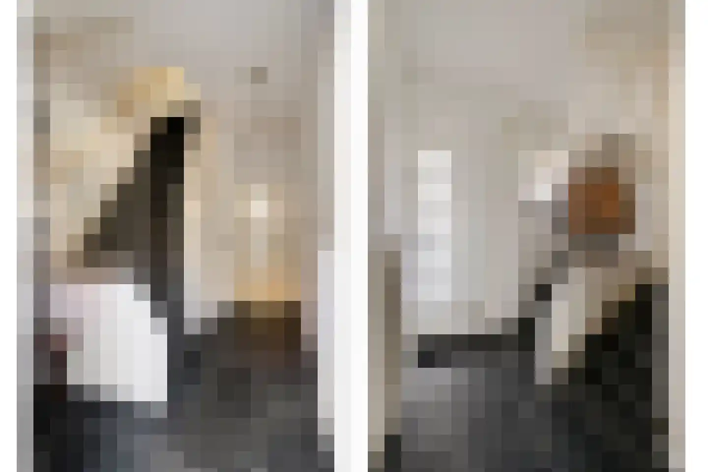 Jan Pieterszoon Coenstraat 8 Tilburg thumbnail 6