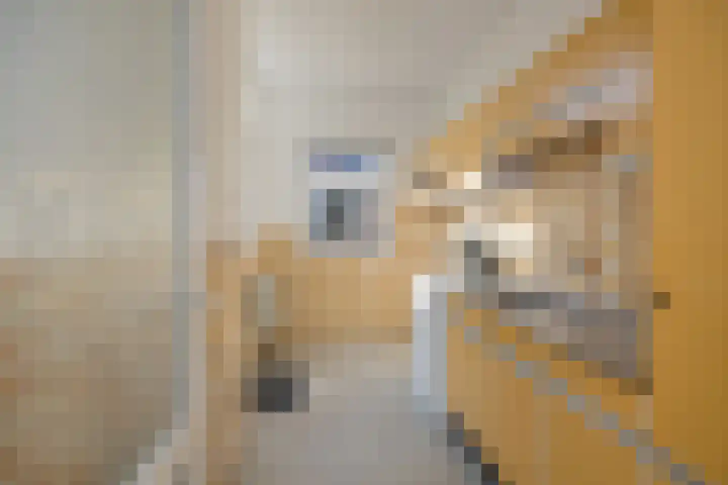 Jan Pieterszoon Coenstraat 81 IJmuiden thumbnail 13