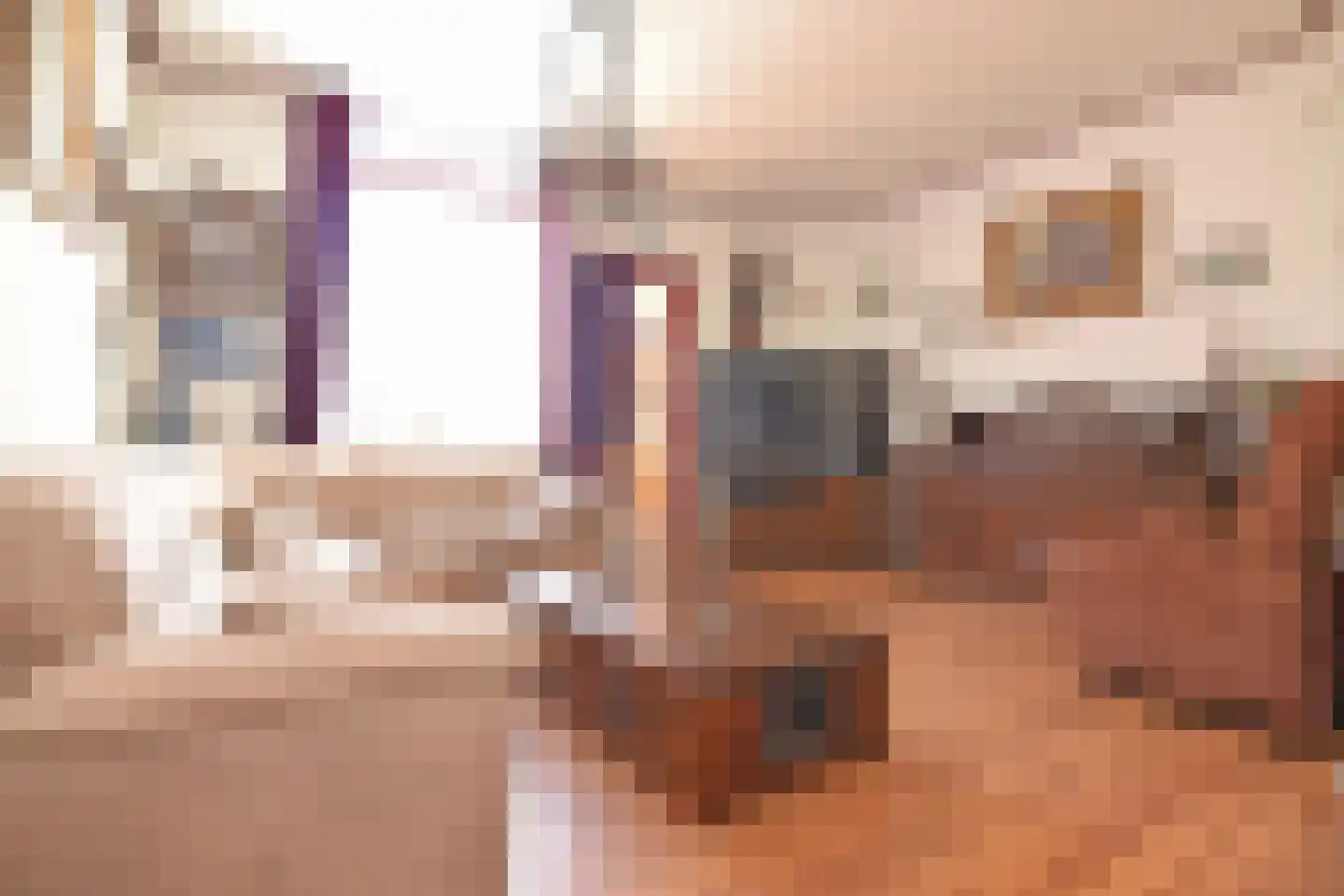Jan Pieterszoon Coenstraat 82 Utrecht thumbnail 4