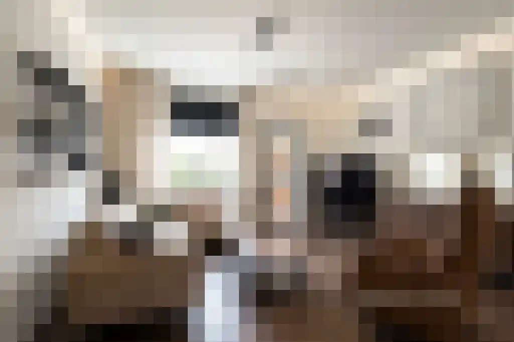 Jan Pieterszoon Coenstraat 82 Utrecht thumbnail 6