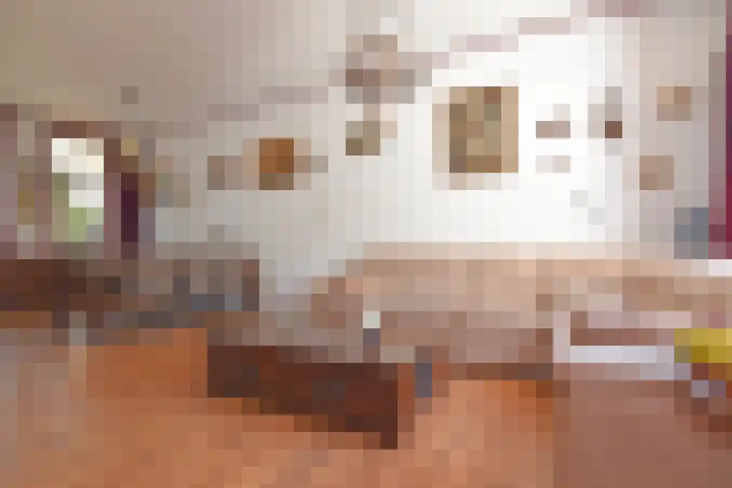 Jan Pieterszoon Coenstraat 82 Utrecht thumbnail 6