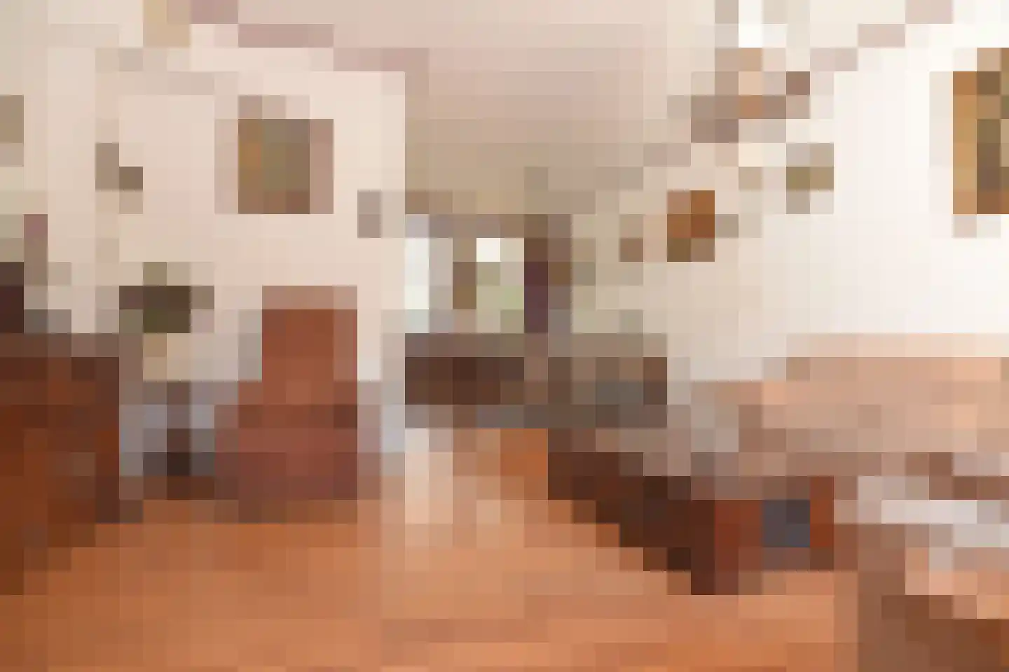 Jan Pieterszoon Coenstraat 82 Utrecht thumbnail 7