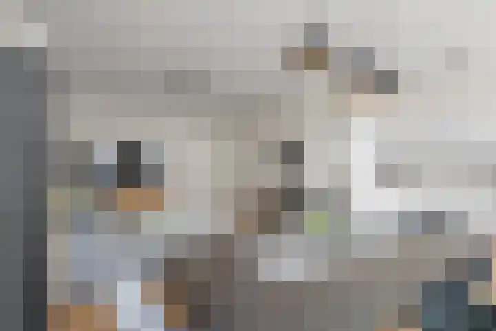 Jan Pieterszoon Coenstraat 89 A Utrecht thumbnail 10