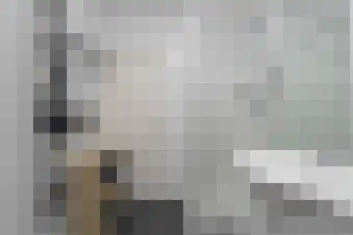 Jan Pieterszoon Coenstraat 89 A Utrecht thumbnail 16