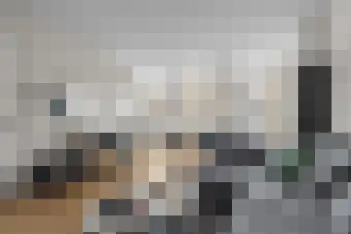 Jan Pieterszoon Coenstraat 89 A Utrecht thumbnail 4