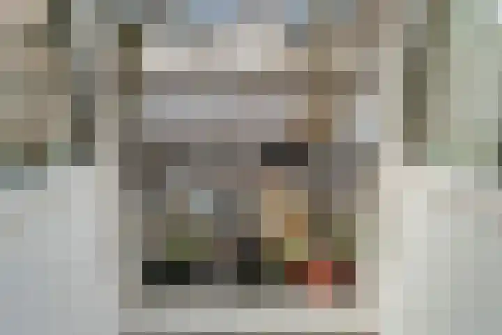Jan Pieterszoon Coenstraat 89 A Utrecht thumbnail 7