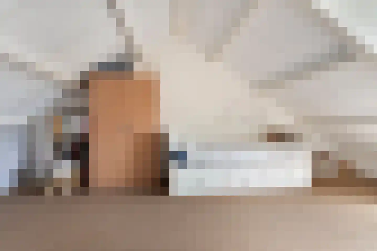 Jan Pieterszoon Coenstraat 9 Rheden thumbnail 26