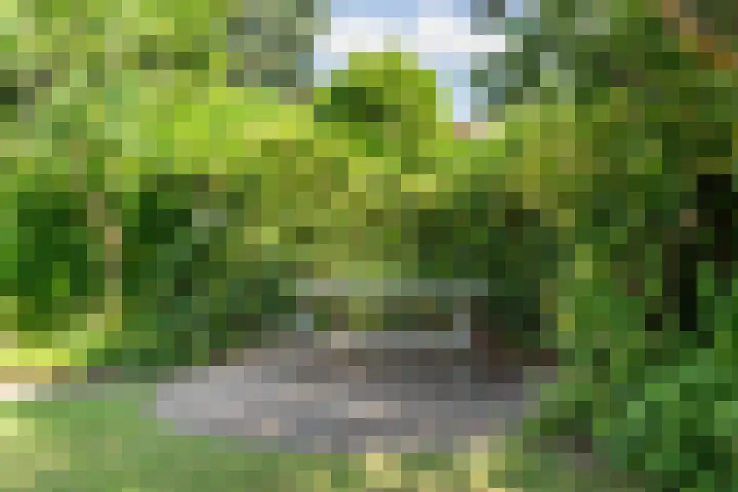 Jan Pieterszoon Coenstraat 9 Rheden thumbnail 33