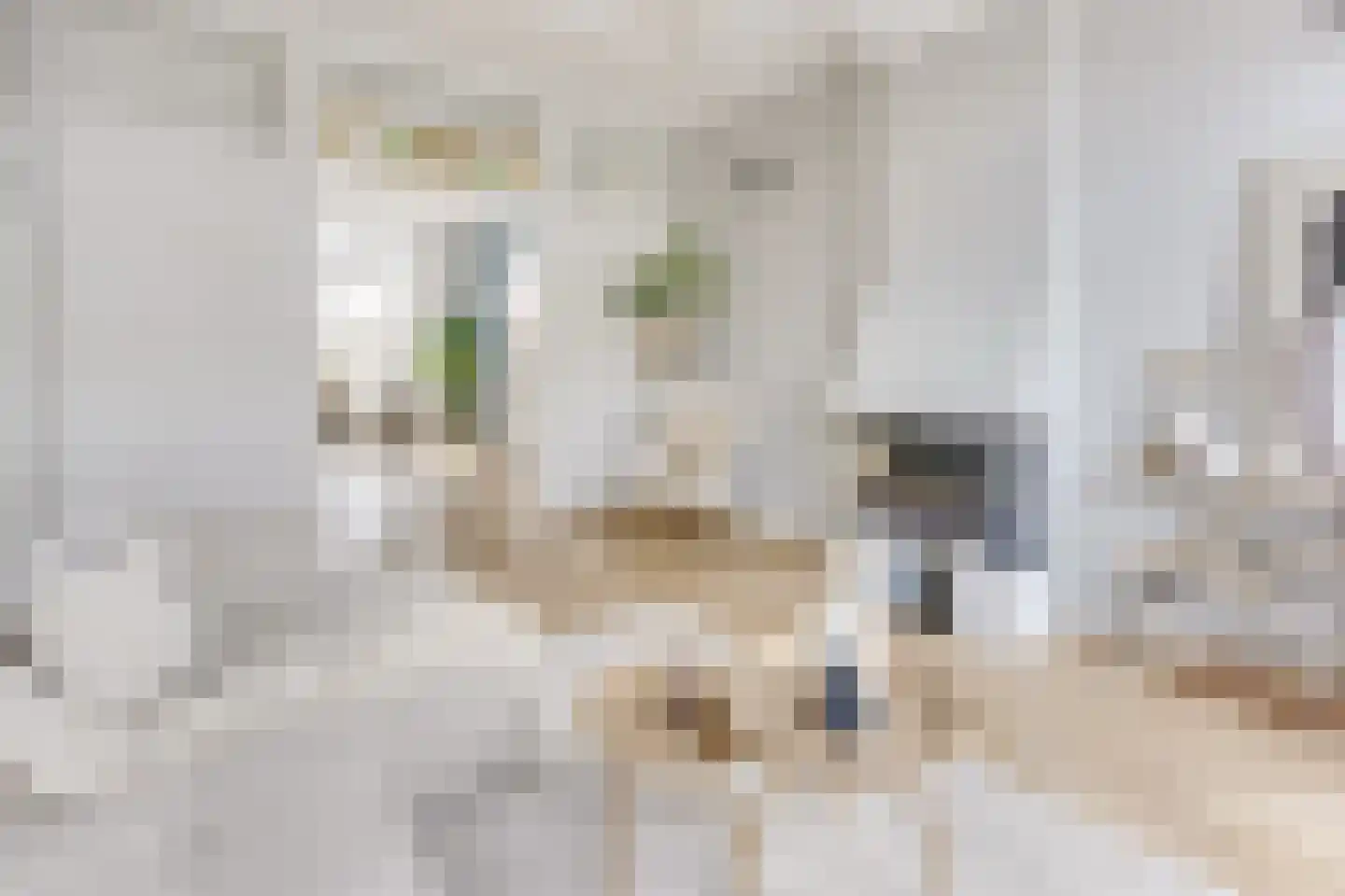 Jan Pieterszoon Coenstraat 91 BS Utrecht thumbnail 10