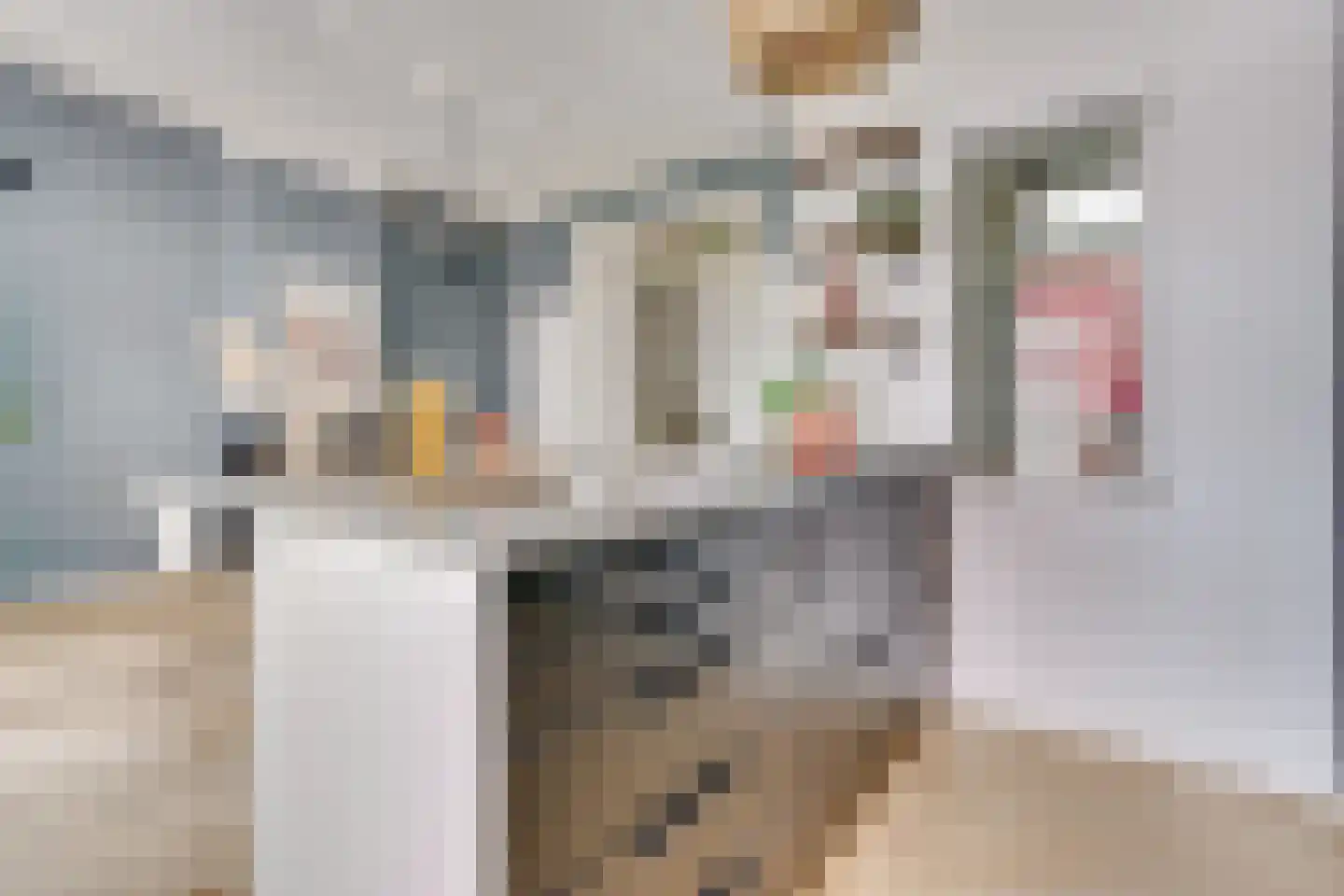 Jan Pieterszoon Coenstraat 91 BS Utrecht thumbnail 19