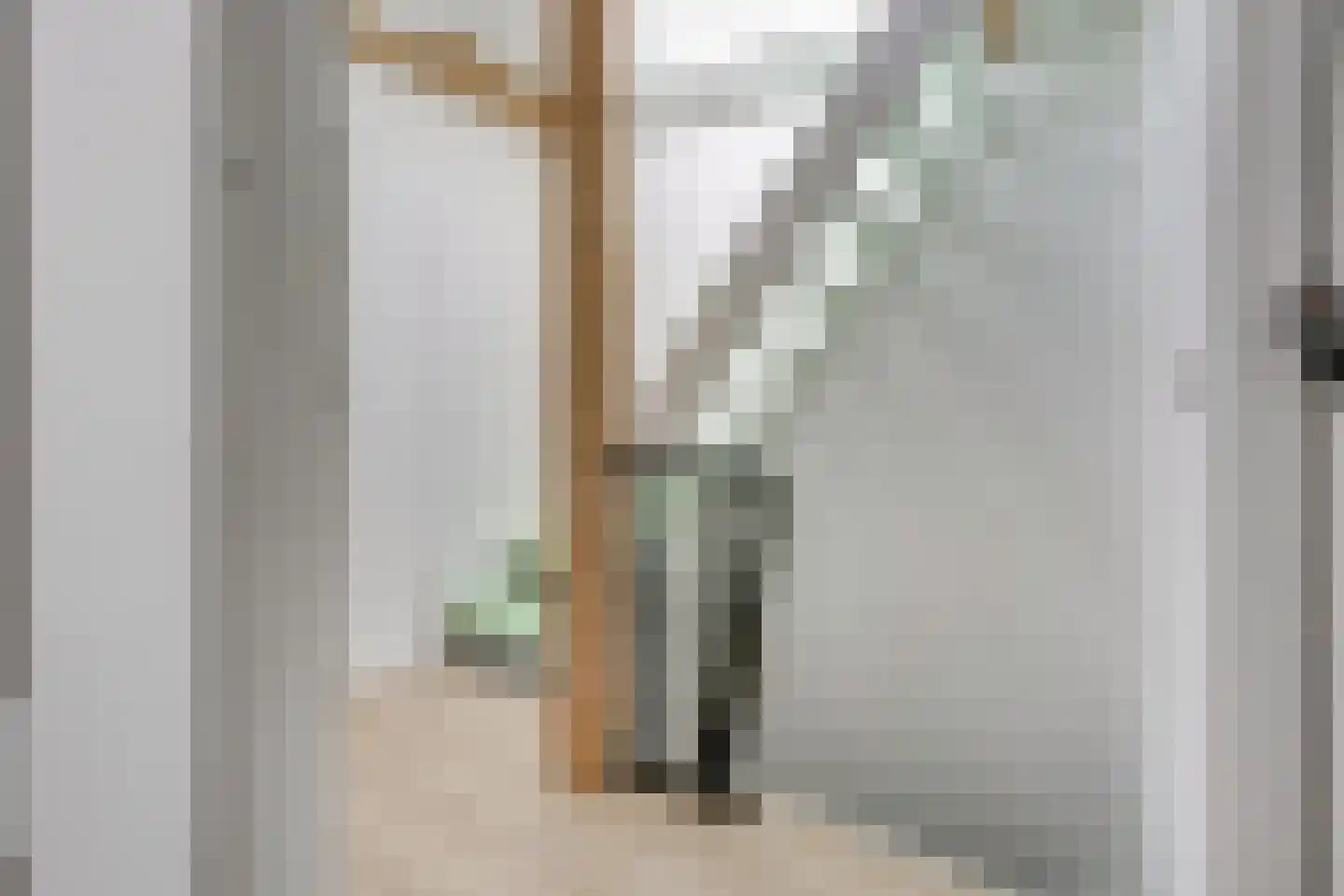 Jan Pieterszoon Coenstraat 91 BS Utrecht thumbnail 27