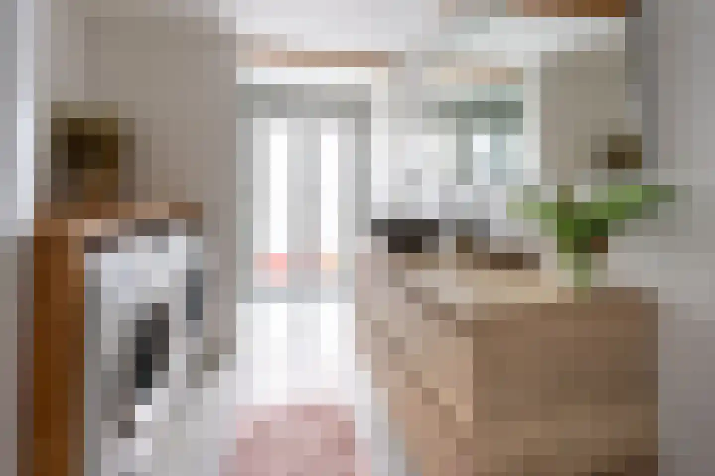 Jan Pieterszoon Coenstraat 91 BS Utrecht thumbnail 37