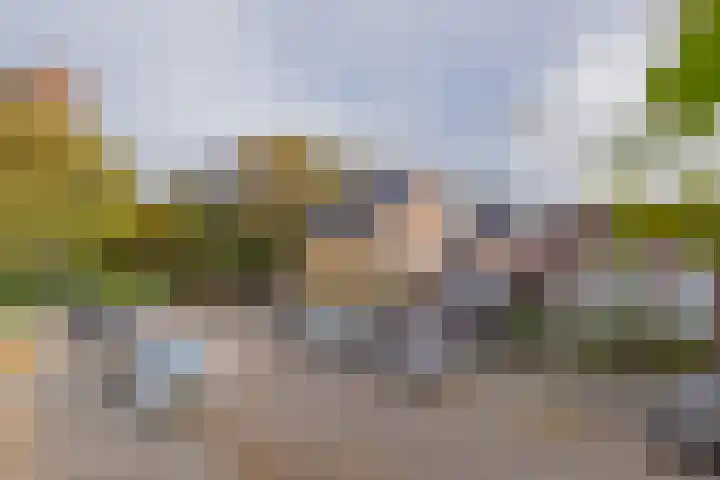 Jan Pieterszoon Coenstraat 91 IJmuiden thumbnail 11