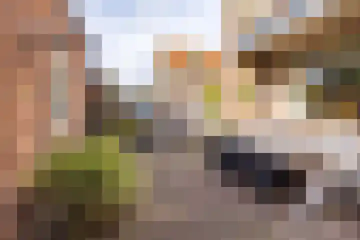 Jan Pieterszoon Coenstraat 91 IJmuiden thumbnail 33