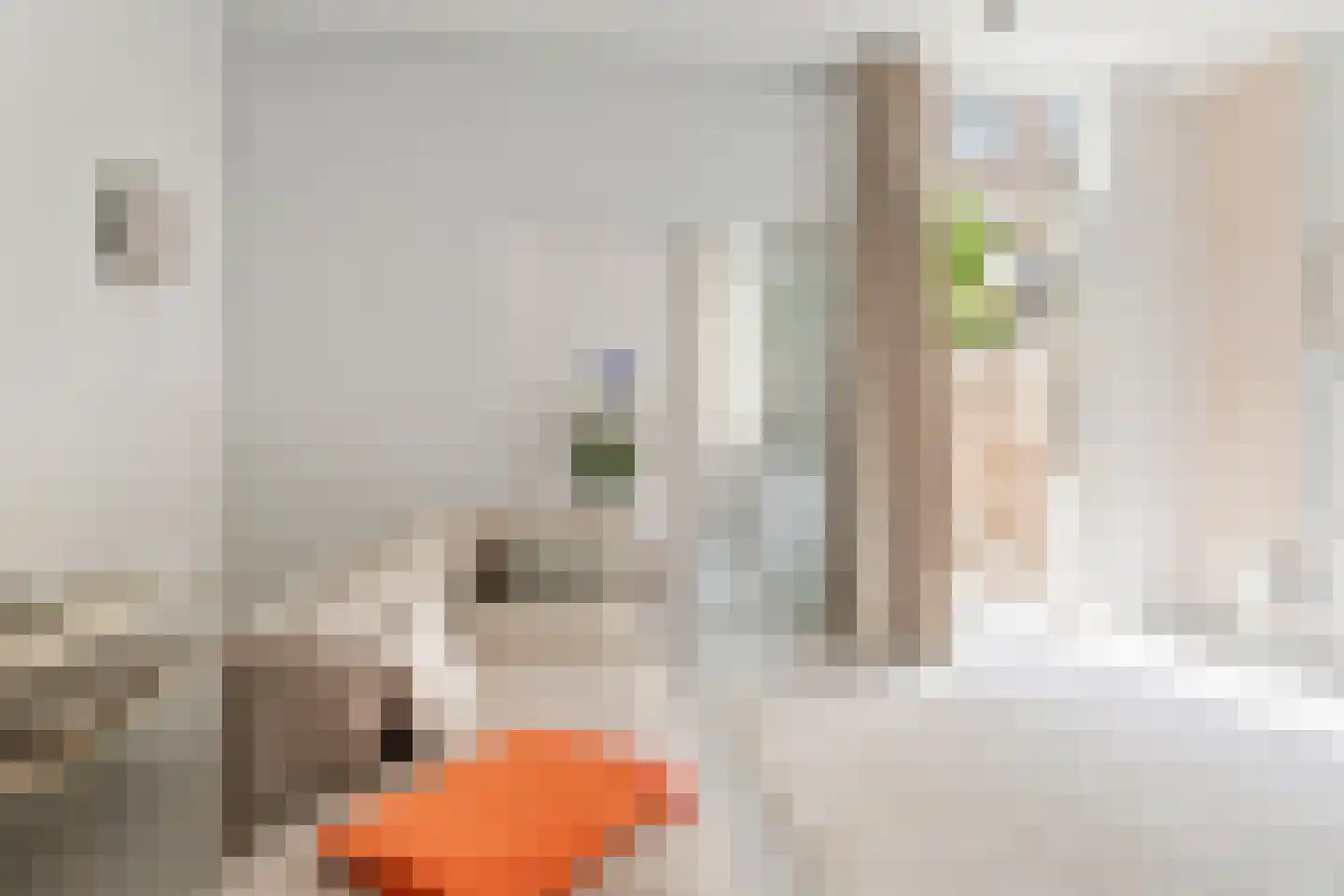 Jan Pieterszoon Coenstraat 92 Utrecht thumbnail 10