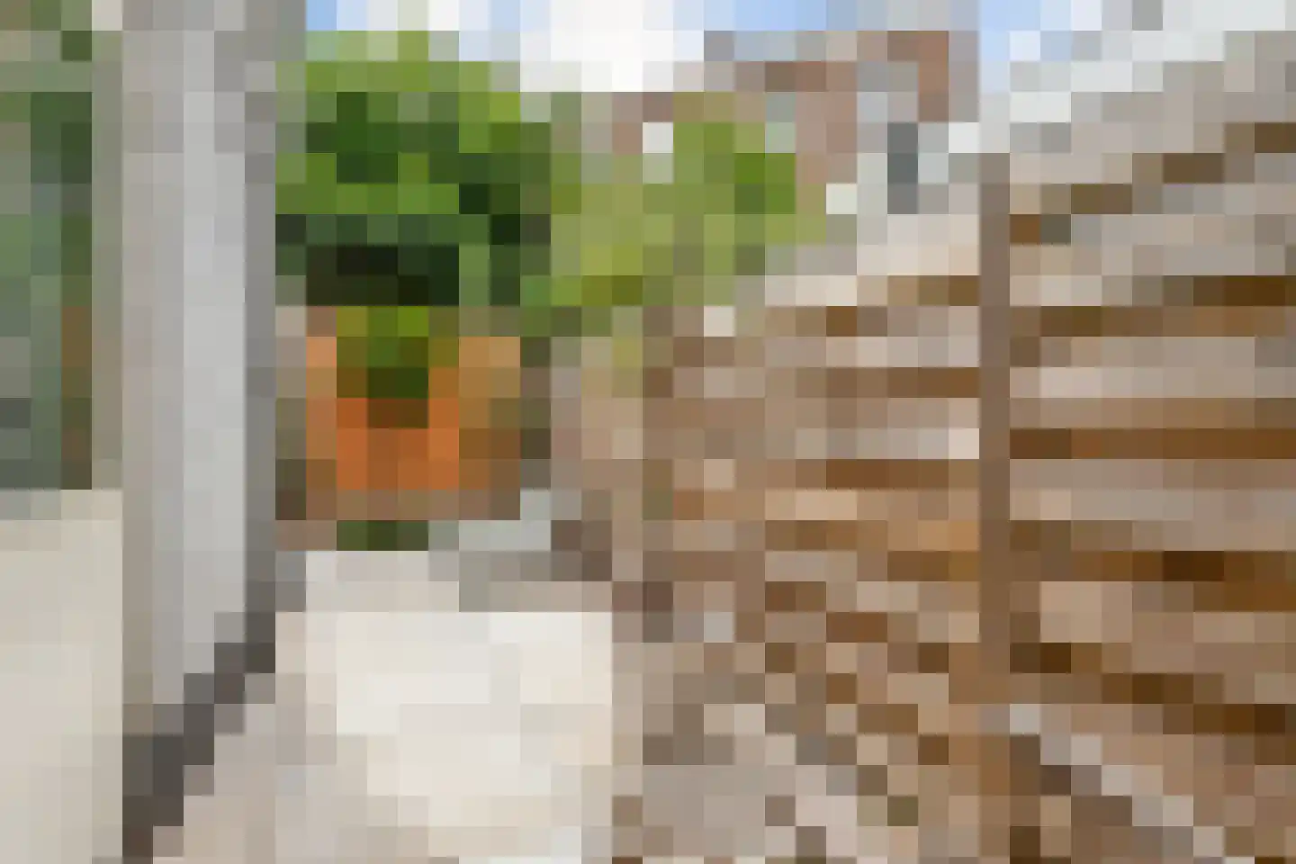 Jan Pieterszoon Coenstraat 92 Utrecht thumbnail 24
