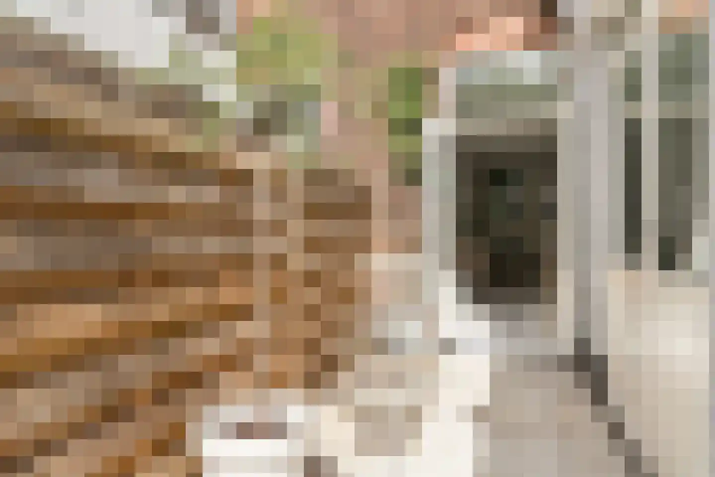 Jan Pieterszoon Coenstraat 92 Utrecht thumbnail 26