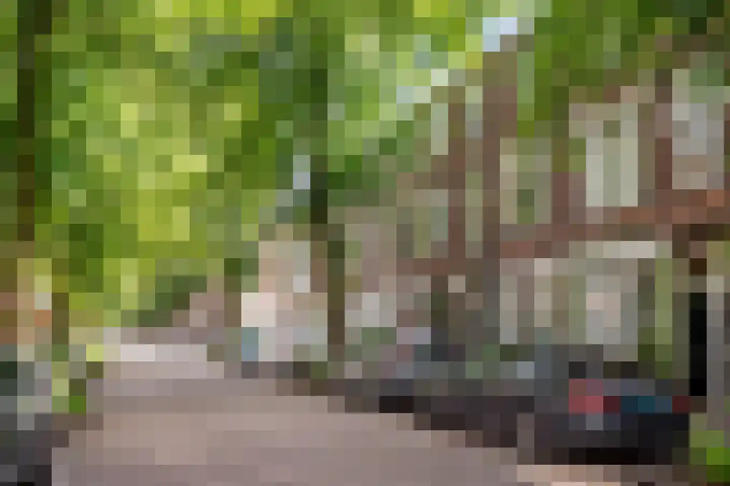 Jan Pieterszoon Coenstraat 92 Utrecht thumbnail 7