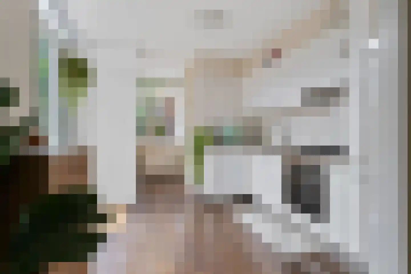 Jan Pieterszoon Coenstraat 94 Utrecht thumbnail 12