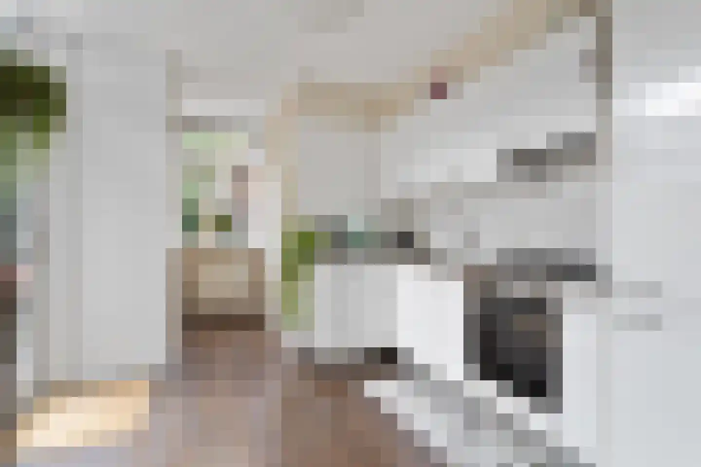 Jan Pieterszoon Coenstraat 94 Utrecht thumbnail 13