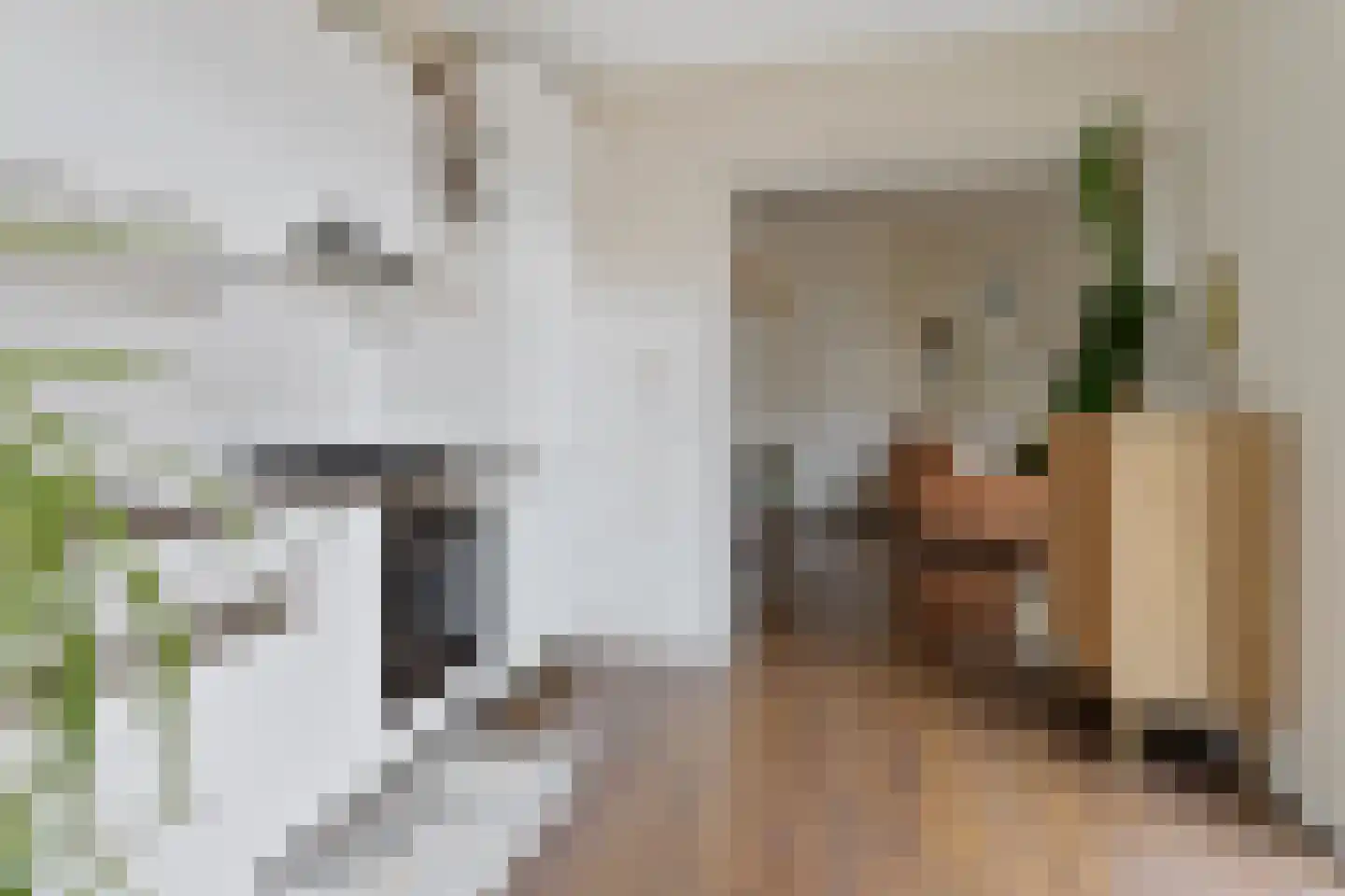 Jan Pieterszoon Coenstraat 94 Utrecht thumbnail 14