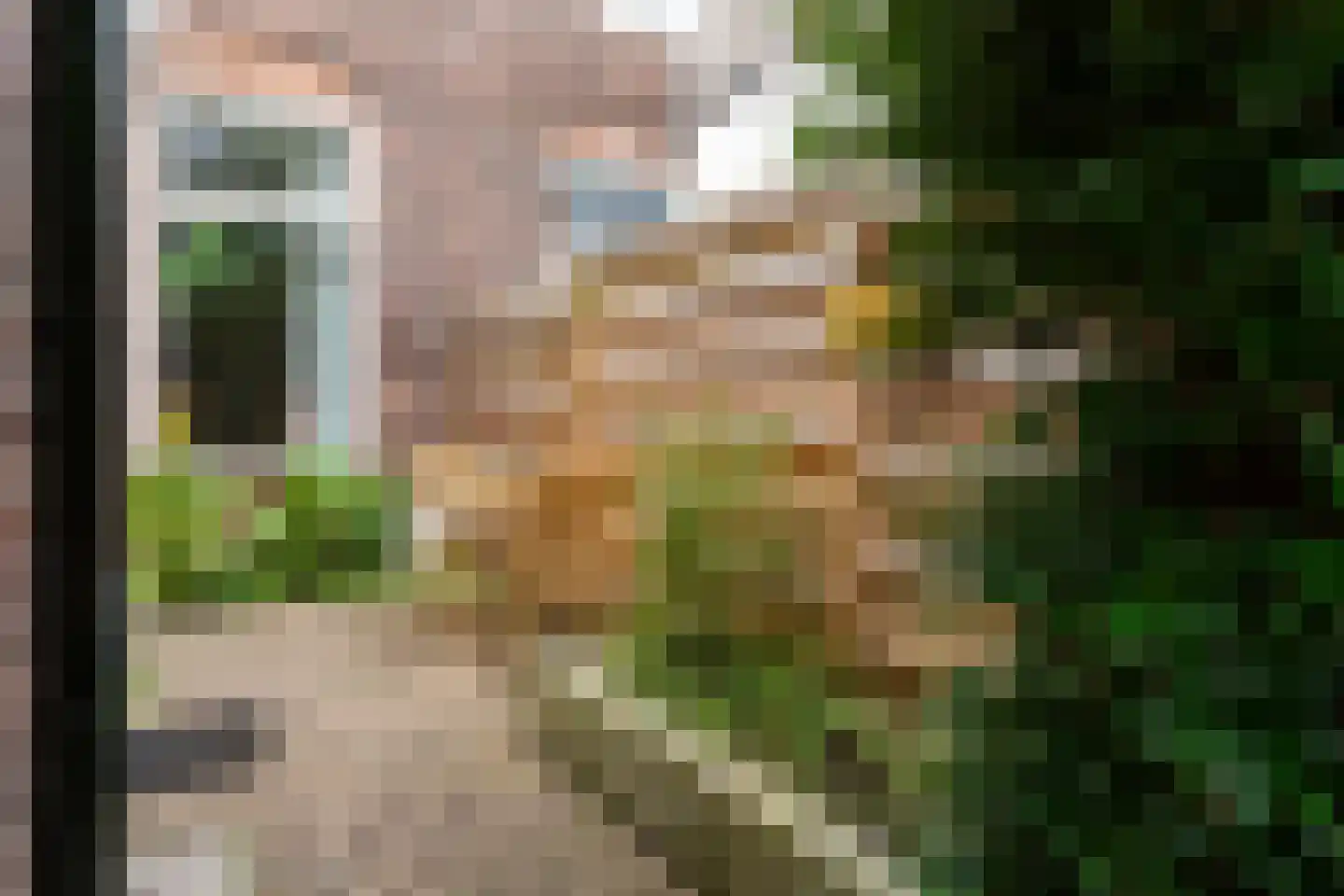 Jan Pieterszoon Coenstraat 94 Utrecht thumbnail 20