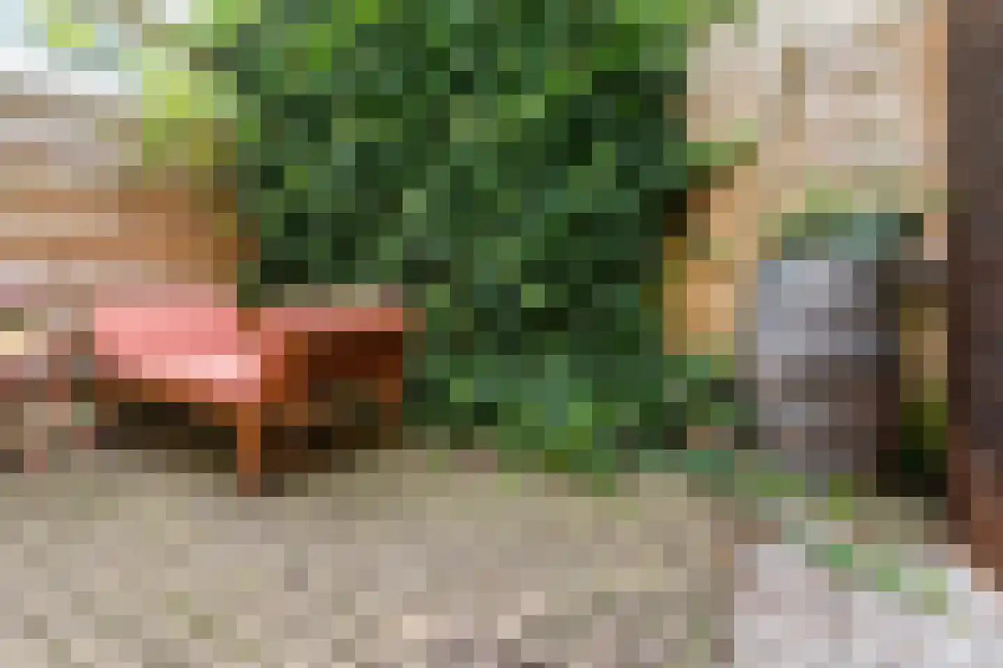 Jan Pieterszoon Coenstraat 94 Utrecht thumbnail 4